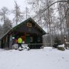 Waldweihnacht - 4. Advent